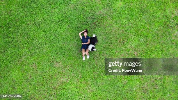 aerial view of green park - aerial park stockfoto's en -beelden