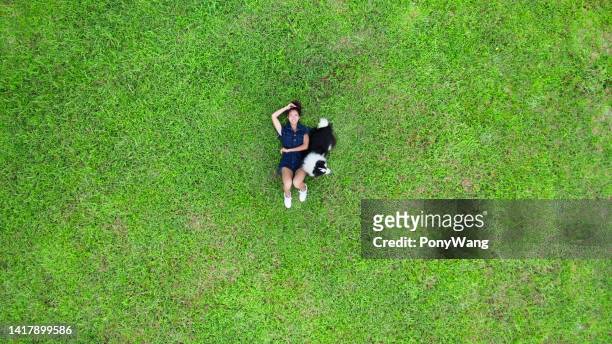 aerial view of green park - lying down top view stock pictures, royalty-free photos & images
