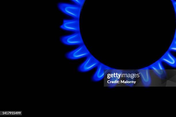 close-up of the blue gas flame on a gas stove. gas burning on a gas stove. - gas stove burner stockfoto's en -beelden