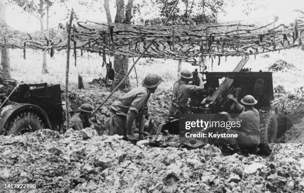 Australian gunners of the 2/15th Field Regiment, 8th Australian Division, Australian Imperial Force in camouflaged positions prepare to open fire...