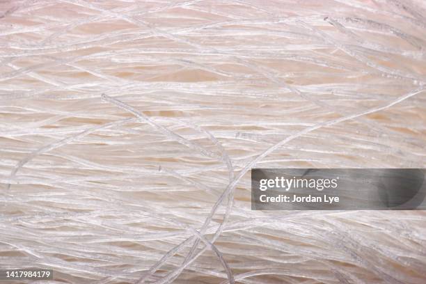 uncooked rice noodle close up - vermicelle chinois photos et images de collection