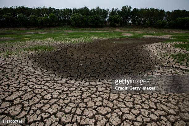 Cracked silt on the bank of the Fu River, a tributary of the Yangtze River, seen on August 25, 2022 in Wuhan, Hubei Province, China. Since July the...