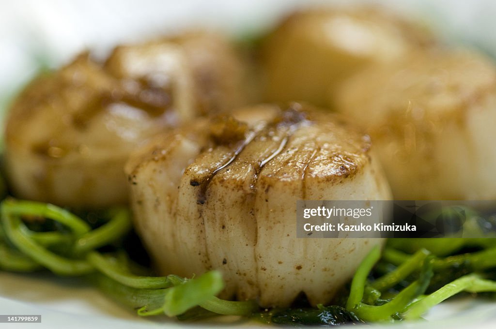 Scallops