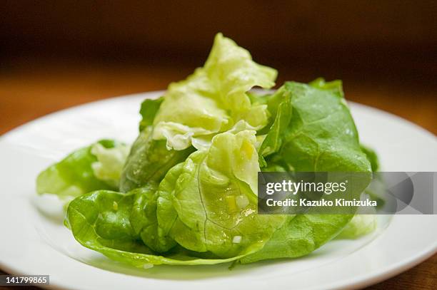 salad - kazuko kimizuka fotografías e imágenes de stock