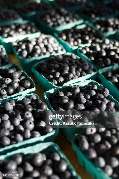 blueberries - kazuko kimizuka stock pictures, royalty-free photos & images