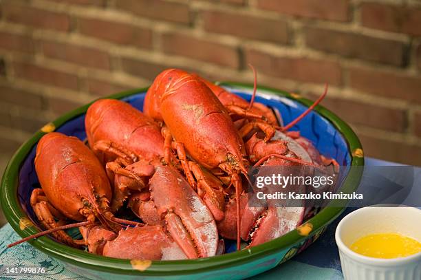 lobsters - kazuko kimizuka stock pictures, royalty-free photos & images