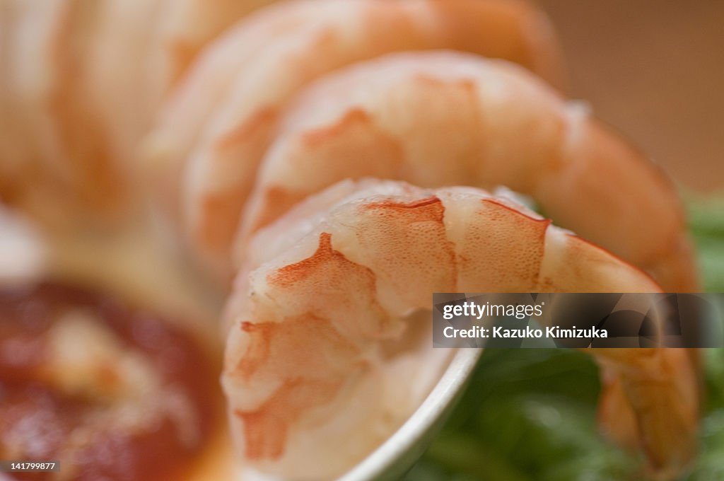 Shrimps