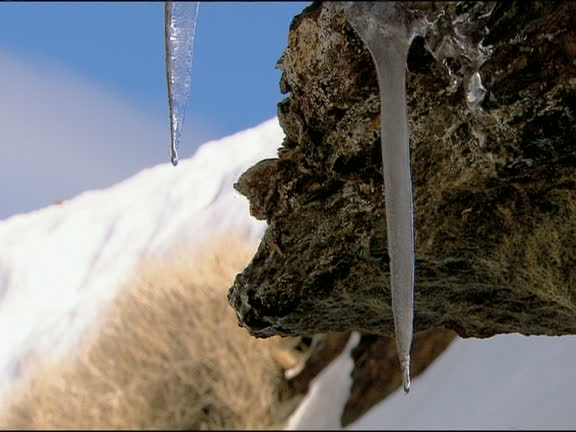 Falling Rocks Snow Melting Snow Background Videos and HD Footage - Getty Images