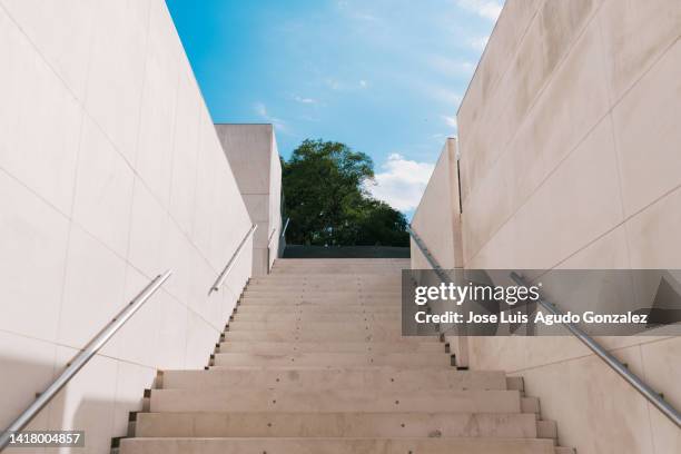 stairs and marble walls under the blue sky that has a whole tree at the end. architecture - tree under blue sky stockfoto's en -beelden