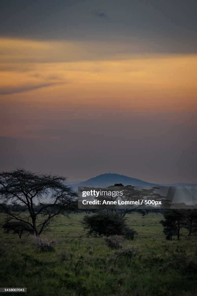 Scenic view of field against sky during sunset,Serengeti,Tanzania