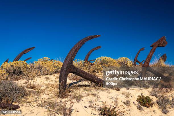 praia do barril with its anchor field,portugal - rusty anchor stock pictures, royalty-free photos & images