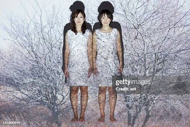 two females standing in front of trees - female bush photos stock pictures, royalty-free photos & images