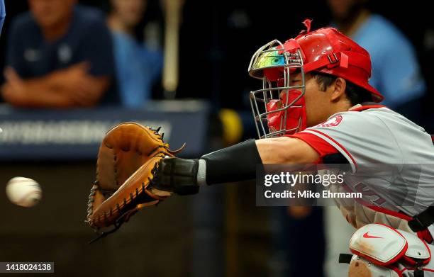 Kurt Suzuki of the Los Angeles Angels catches during a game against the Tampa Bay Rays at Tropicana Field on August 25, 2022 in St Petersburg,...