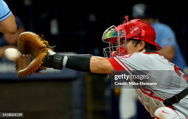 Kurt Suzuki of the Los Angeles Angels catches during a game against the Tampa Bay Rays at Tropicana Field on August 25, 2022 in St Petersburg,...