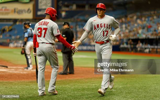 Shohei Ohtani of the Los Angeles Angels is congratulated after scoring a run in the eighth inning during a game against the Tampa Bay Rays at...