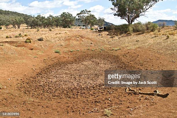 australian drought - gunnedah stock pictures, royalty-free photos & images