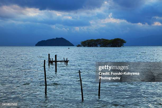 wooden posts in lake - omi stock pictures, royalty-free photos & images