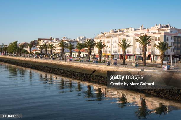 palm trees lining a canal in lagos, algarve, portugal - faro portugal stock pictures, royalty-free photos & images