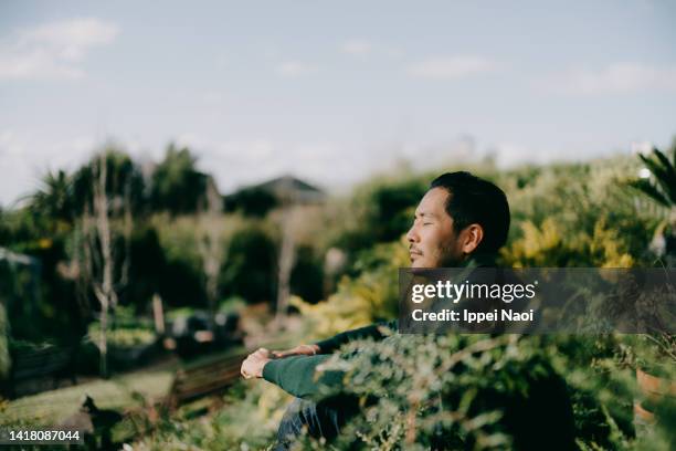 man sitting in garden and relaxing - mann optimistisch stock-fotos und bilder