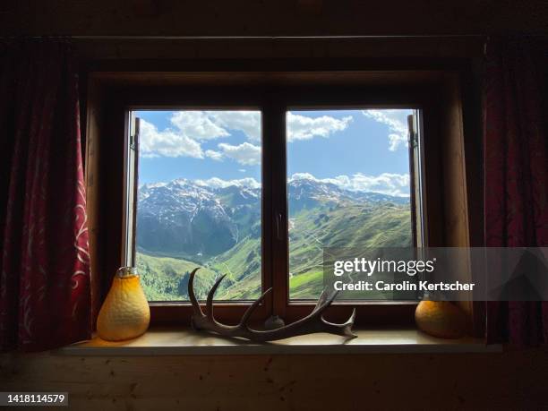 green alpine pastures in the tux alps in summer | tyrol, austria - alpen berghütte stock-fotos und bilder