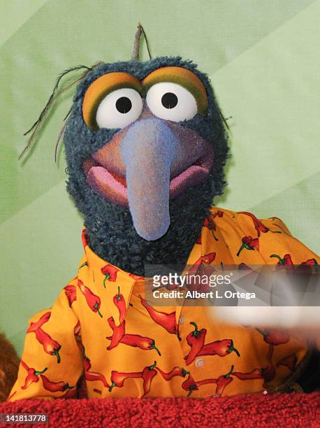 Gonzo The Great at the Star ceremony on The Hollywood Walk Of Fame on March 20 2012 in Hollywood, California