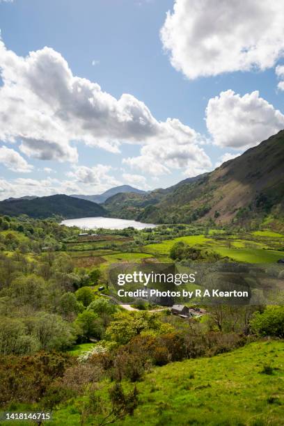 beautiful view of nant gwynant in snowdonia national park, north wales - gwynedd stockfoto's en -beelden