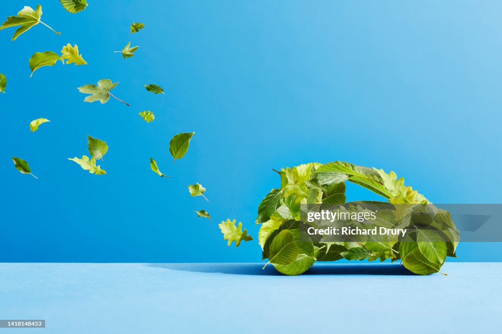 A car made of leaves emitting an exhaust trail of leaves