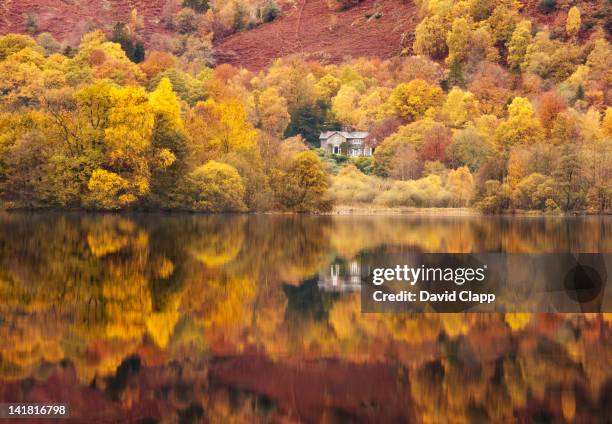 still lakeside reflections at grasmere in the lake district, cumbria, england, uk - rural england stock pictures, royalty-free photos & images