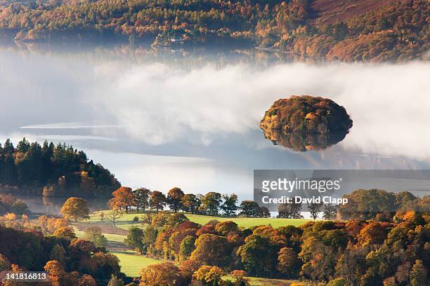 a small island on derwent water, keswick in the lake district, cumbria, england, uk - november landscape stock pictures, royalty-free photos & images