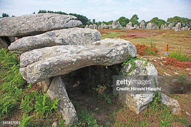 megalithic dolmen, carnac, morbihan, brittany, france - doelman stock-fotos und bilder