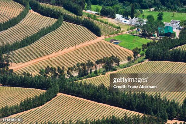 wine-growing region, western cape, south africa - south africa aerial stock pictures, royalty-free photos & images