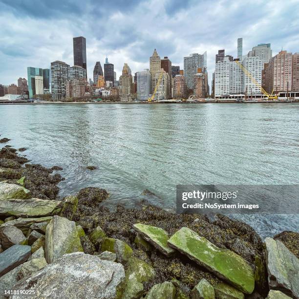 blick auf manhattan von der long island city - east river stock-fotos und bilder