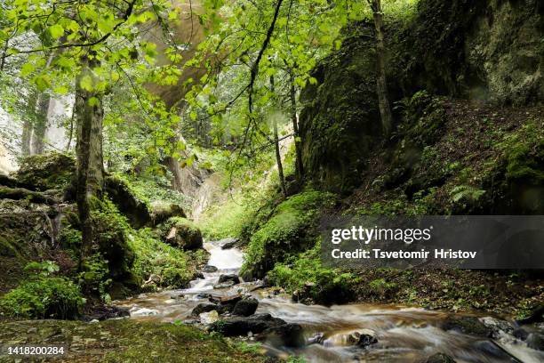 a beautiful stream passing through the marvelous bridges in the rhodopes mountain, bulgaria - bulgaria ストックフォトと画像