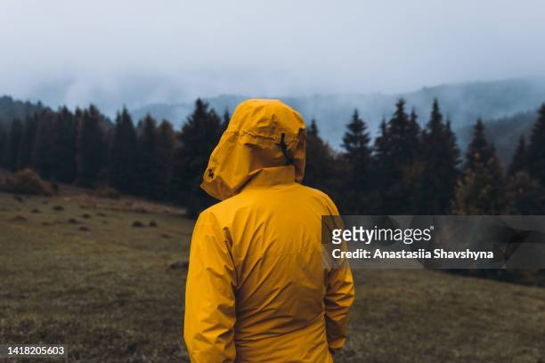 male contemplating autumn in the mountains during rain - yellow coat 個照片及圖片檔