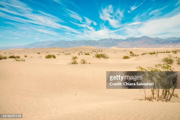 mesquite flat sand dunes - deserto de mojave - fotografias e filmes do acervo