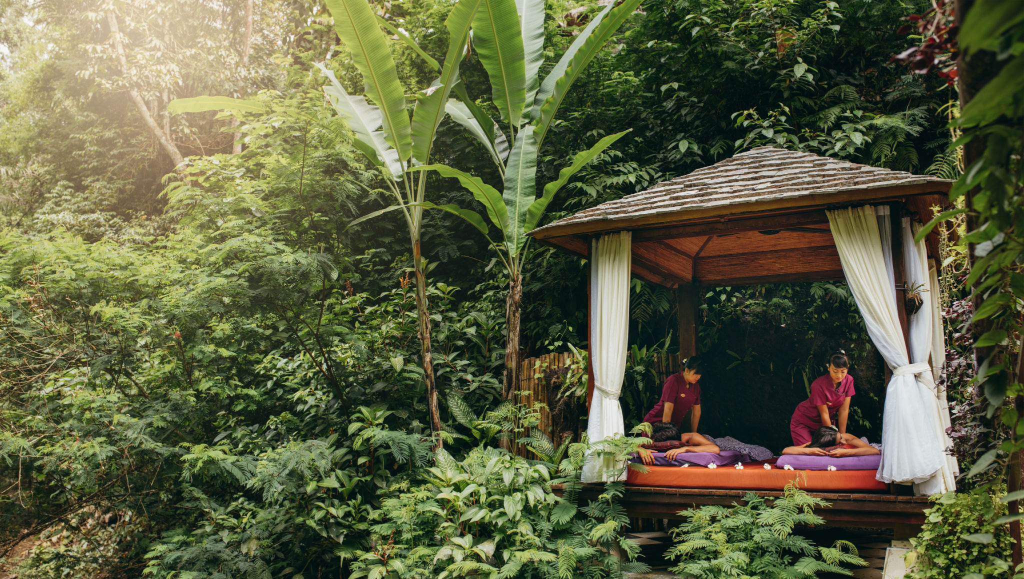 wellness retreat india