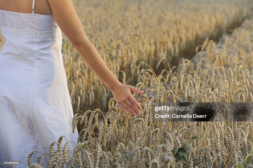 Woman's hand touching wheat in field