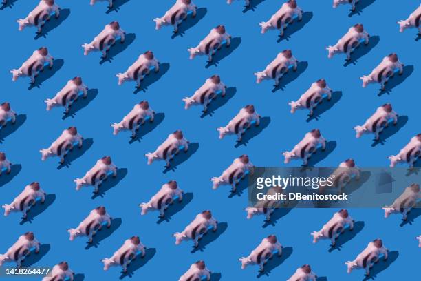 pattern of black and white toy plastic dairy cows, on a blue background. concept of meat, livestock, milk, food crisis, staple food and livestock. - cow art stock pictures, royalty-free photos & images