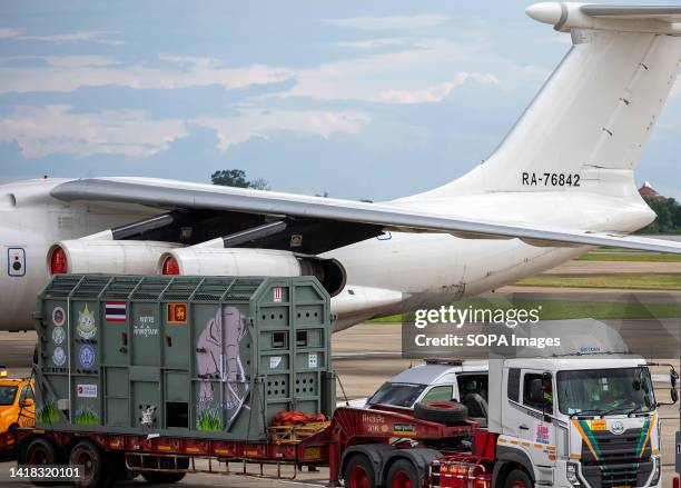 Driver is seen as they move the flight cage carrying an ailing Thai elephant "Sak Surin," at Chiang Mai international airport. "Sak Surin" is one of...