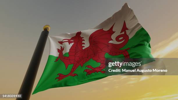 flag of wales - cardiff stock-fotos und bilder