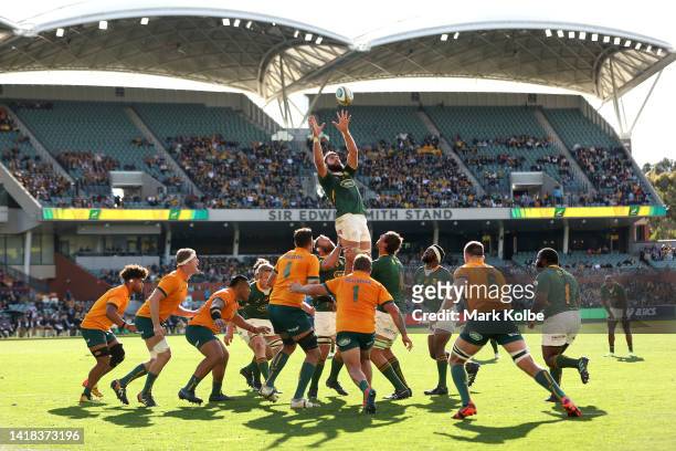 Lood de Jager of the Springboks competes in a line-out during The Rugby Championship match between the Australian Wallabies and the South African...