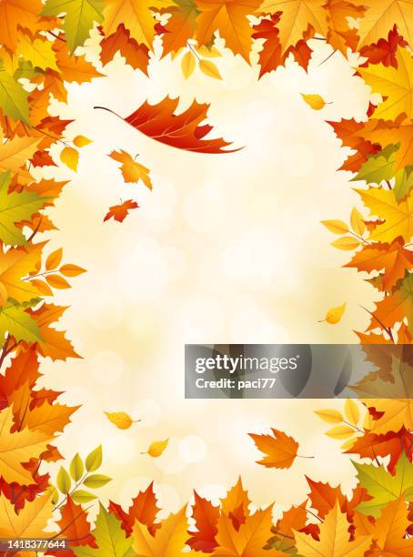 autumn leaves frame - november stock illustrations