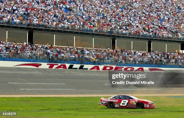 Dale Earnhardt Jr., driver of the Budweiser Chevrolet Monte Carlo, spins donuts on the infield after winning the Aaron''s 499, part of the Nascar...