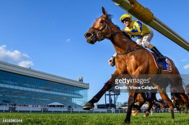 Ethan Brown riding Snapdancer defeats Mark Zahra riding I'm Thunderstruck in Race 8, the Magic Millions Memsie Stakes, during Melbourne Racing at...
