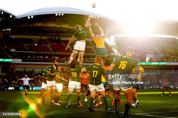 Eben Etzebeth of the Springboks and Darcy Swain of the Wallabies compete for the ball in the lineout during The Rugby Championship match between the...