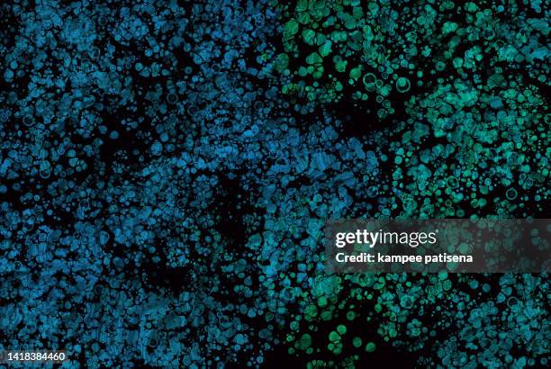 fluorescent abstract cells background - magnification stock pictures, royalty-free photos & images