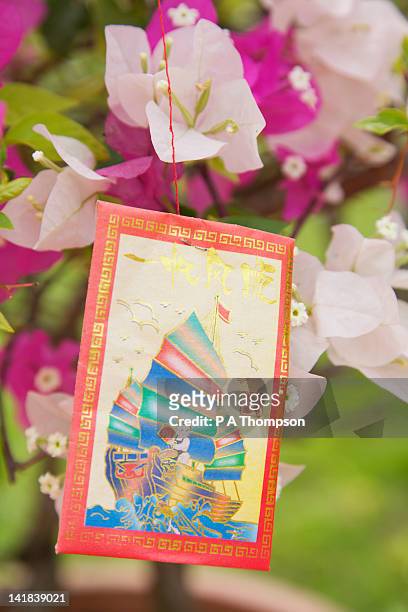 new year greeting card hanging from a bougainvillea tree, vietnam - arbre main stock pictures, royalty-free photos & images