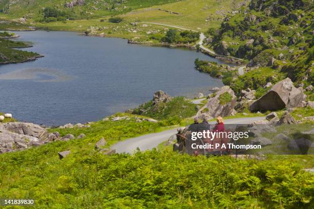 tourists in jaunting car, gap of dunloe, county kerry, ireland mr - kerry ireland stock pictures, royalty-free photos & images