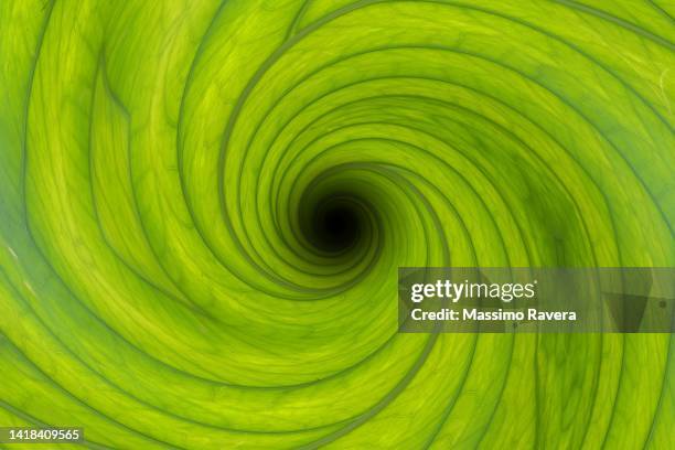 green leaf vortex - leaves spiral stock pictures, royalty-free photos & images