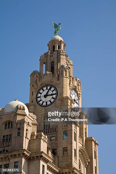 liver building, liverpool, england - royal liver building stock pictures, royalty-free photos & images